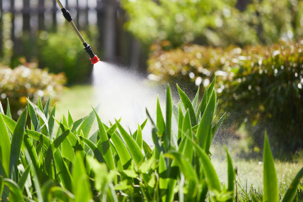 24/7 Emergency Ant Control experts in Canfield, OH